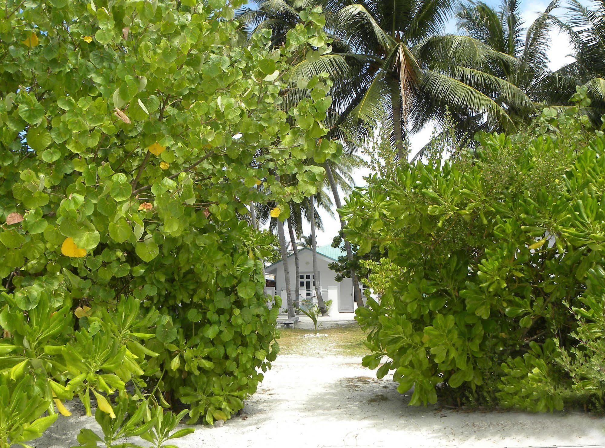 Vaali Maldives Island Escapes & Dive Hotel Felidhoo Exterior photo